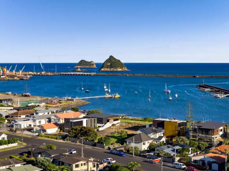 38 Birdwood Avenue Moturoa_13