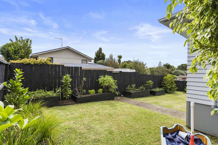 6 Japonica Drive Beach Haven_14