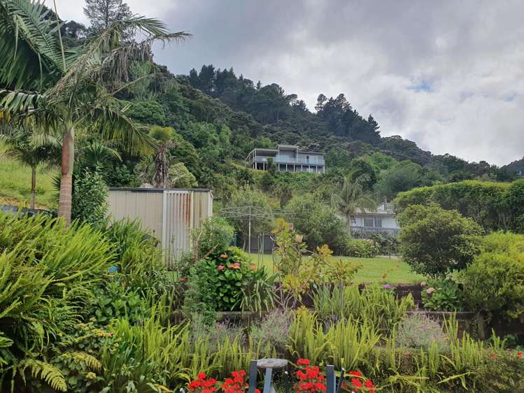 102 Tararu Creek Road Thames_18