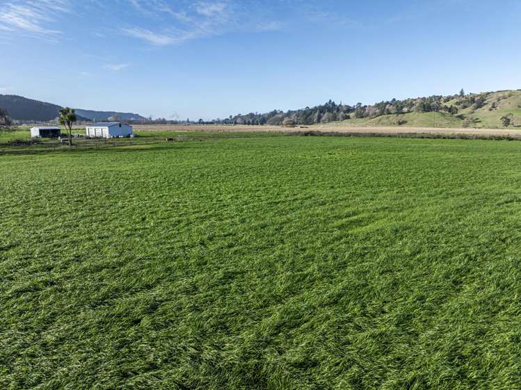 342 Hill Road Eskdale_6