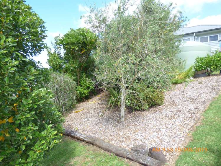 34 Oxford Street Whakapirau_12