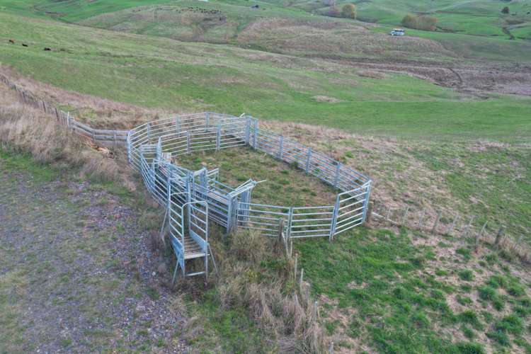 123 Slater Road Ruawaro_25