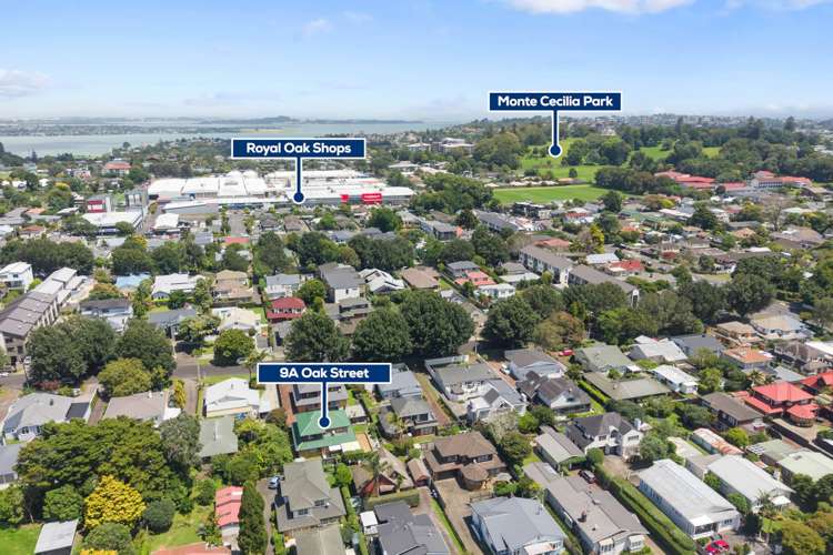 9A Oak Street Royal Oak_18