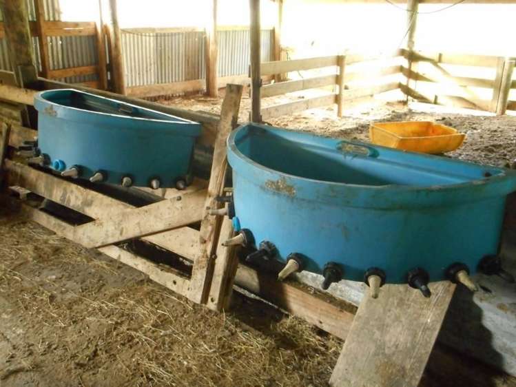 1730 Lake Brunner Road Inchbonnie_25