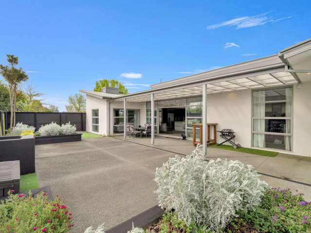 Live, Earn & Travel from Pegasus