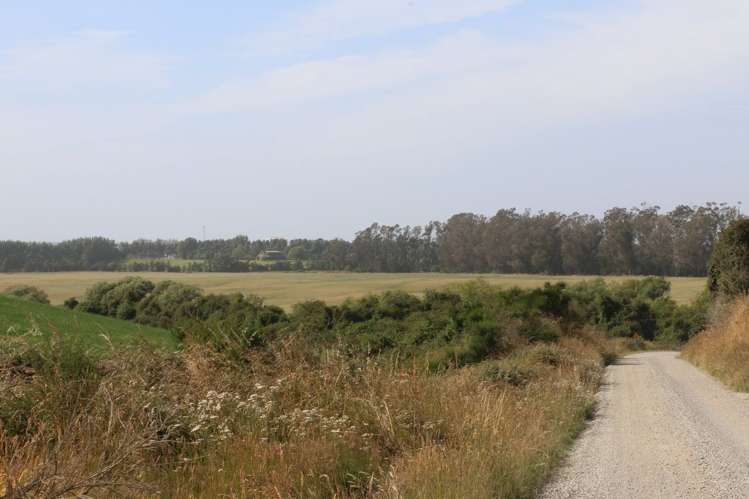 76 Corrigans Road Makikihi_5