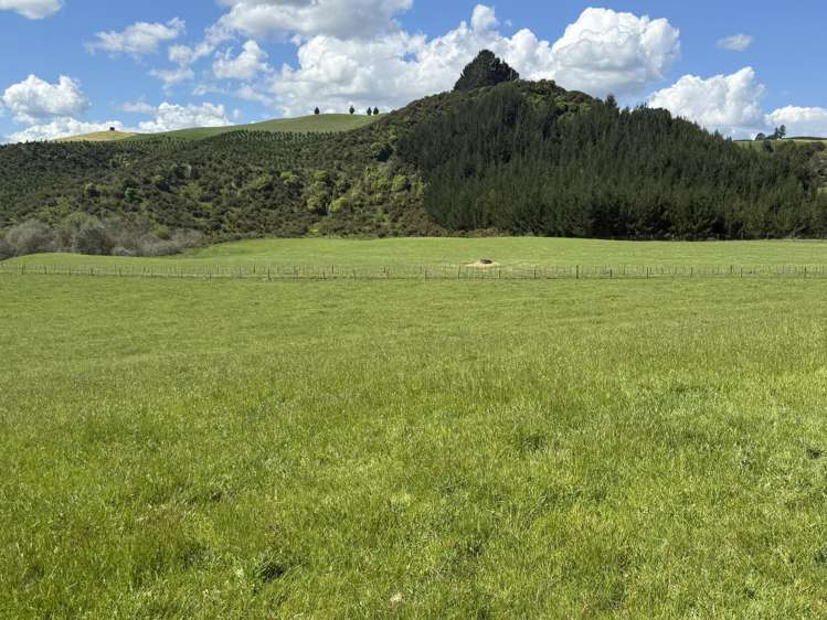 1/1745 Arapuni Road Parawera_21