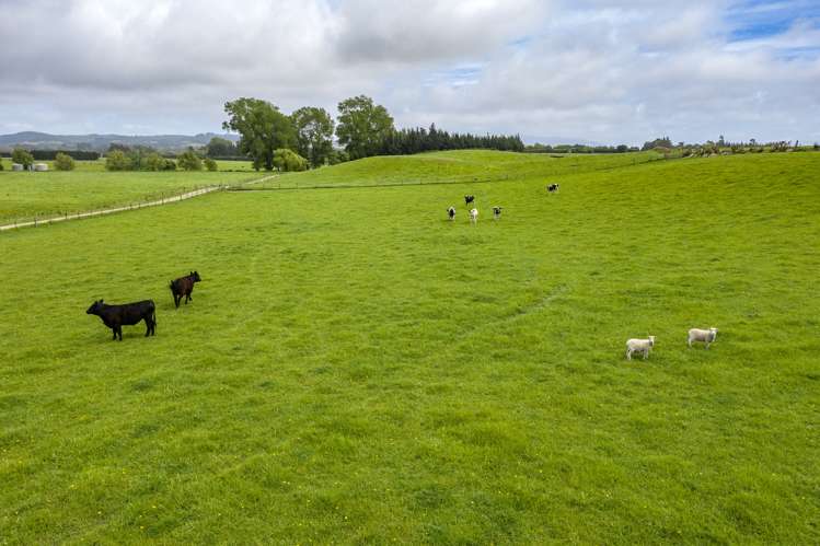 266 Rangiora Leithfield Road Sefton_15