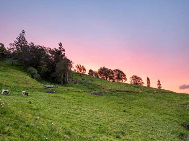 39 Corbett Drive Te Puna_3