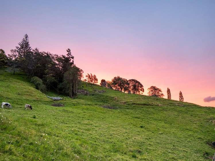 39 Corbett Drive Te Puna_3