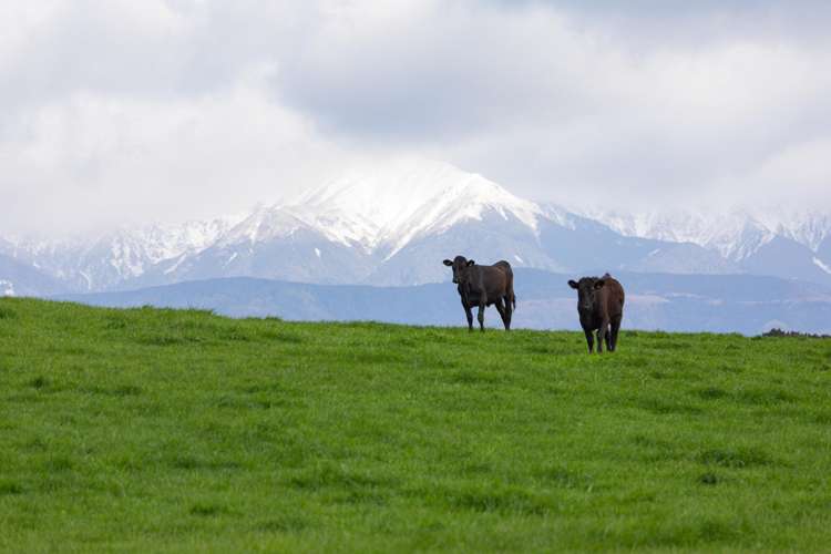 2048 State Highway 50 Ongaonga_14