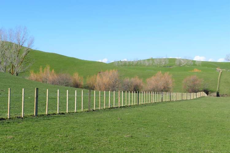 712 Matapiro Road Crownthorpe_12