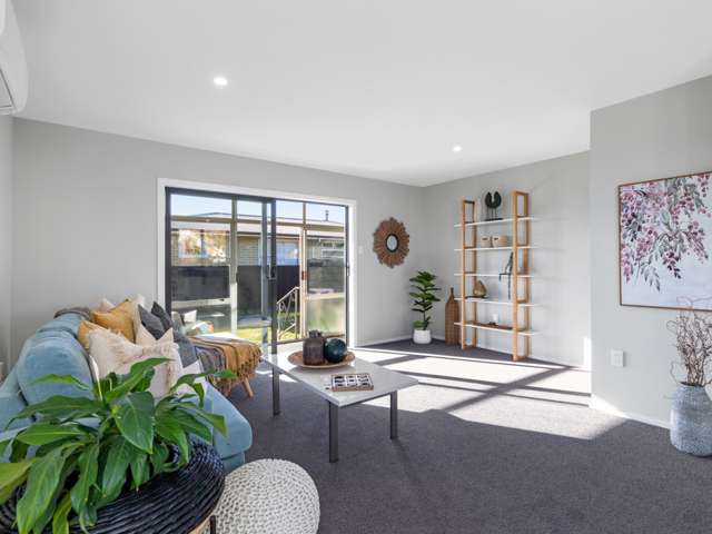 1a Hale Street Blenheim Central_1