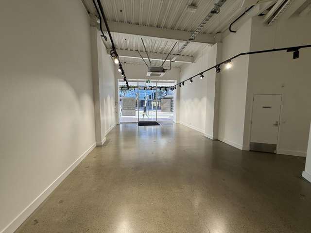 2/115 Victoria Street Te Aro_4