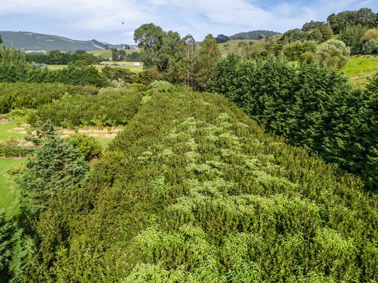 75 Hooks and Halls Road Waimamaku Far North Rural Property For