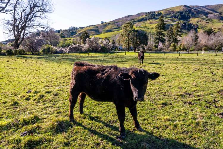 18 Hillwood Drive Wakapuaka_6