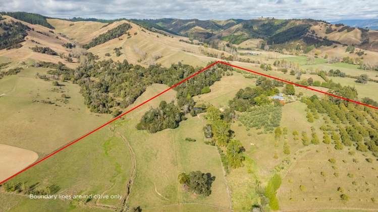 71 Cozens Road Dovedale_3