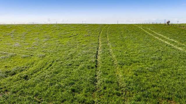 5B2A Hastings Road Okaiawa_1