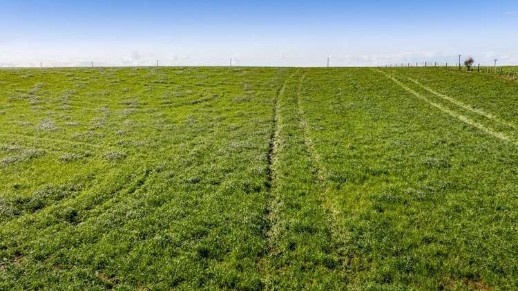 5B2A Hastings Road Okaiawa_1