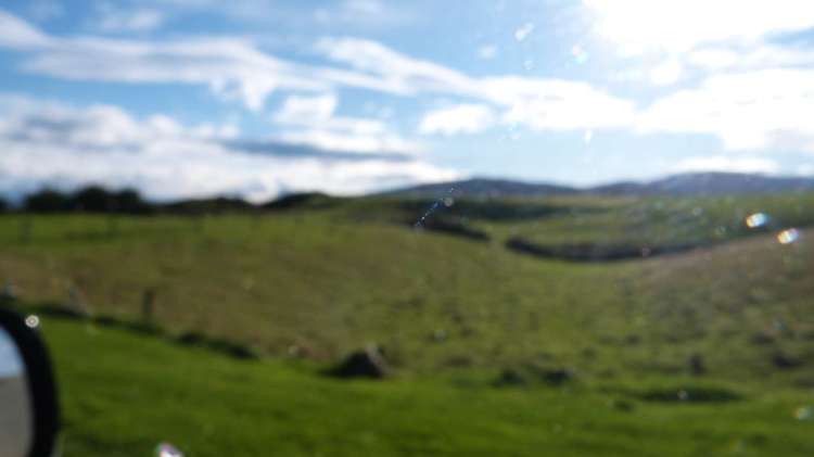 521 Orepuki Riverton Highway Riverton & Surrounds_21