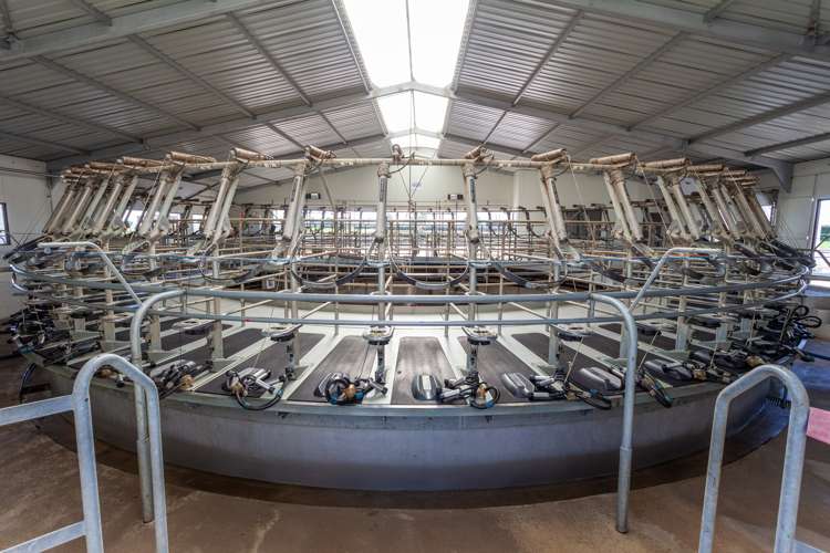 Alexandra Road Waharoa_7