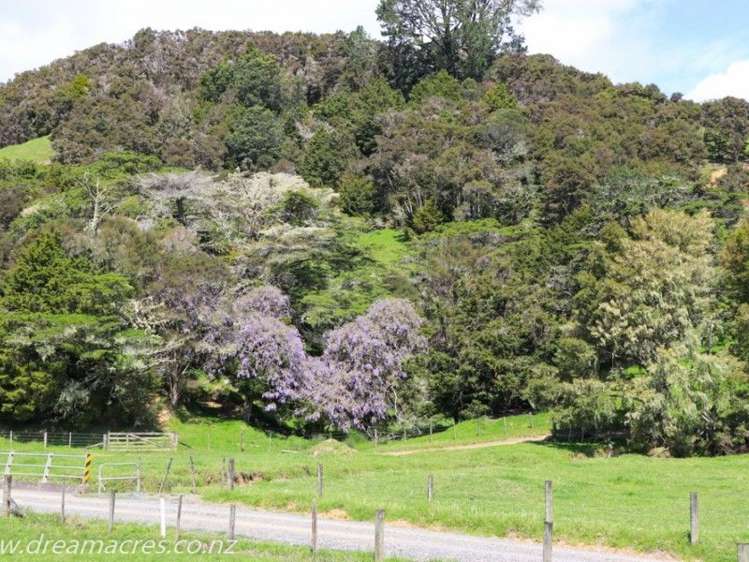 242 Owae Road Russell Surrounds_6