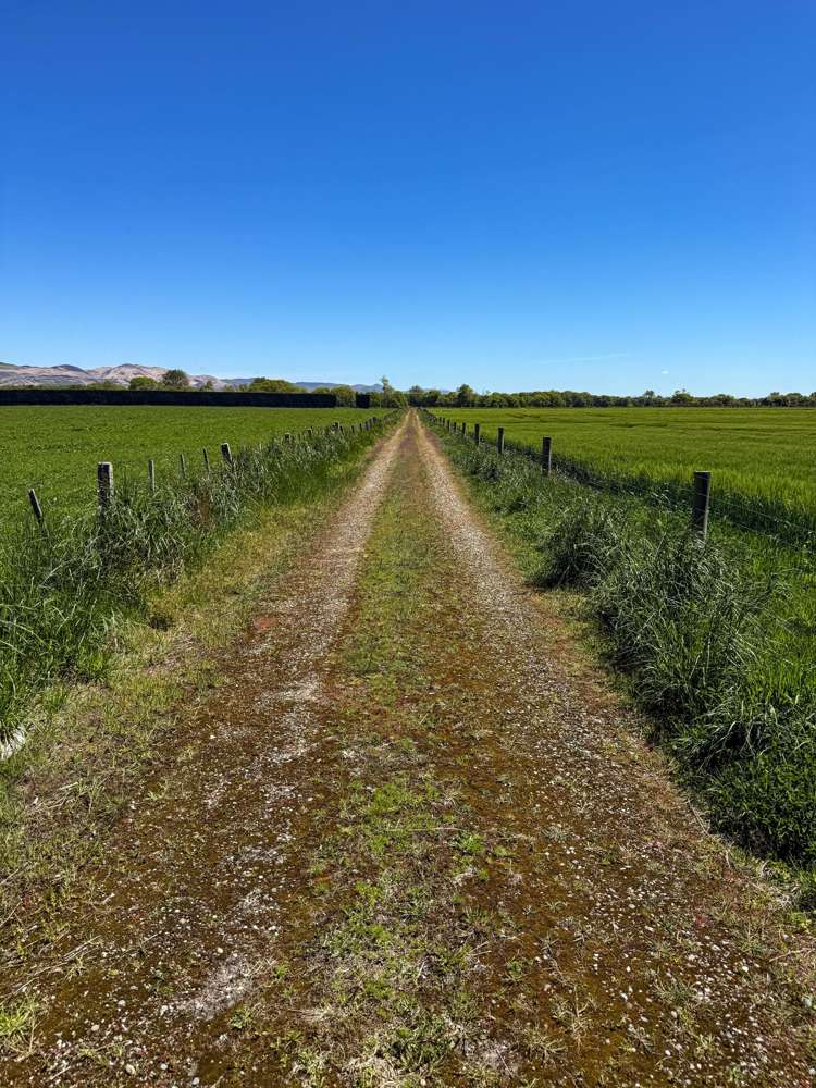 573 Otama Flat Road Otama_15