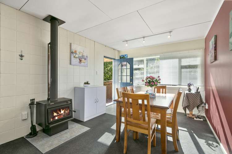 7 Pine Tree Lane Korokoro_8