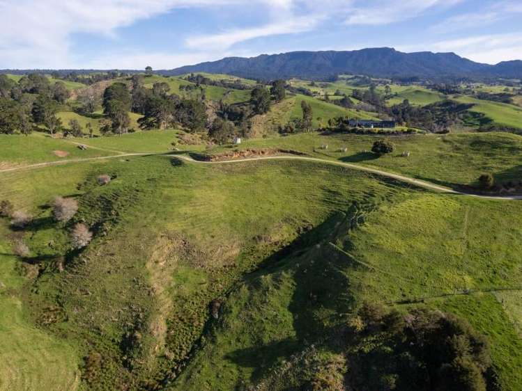 229 Walford Road Katikati_18