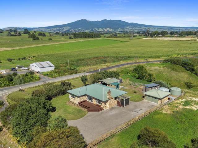 Solid Bones, Fresh New Feel