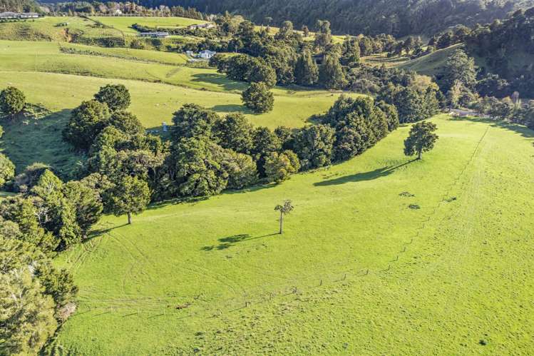 216 Haruru Road Kaukapakapa_9