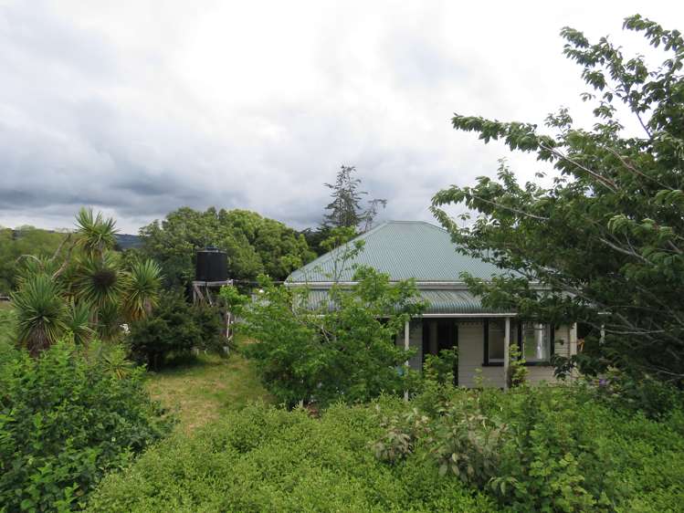 61 London Street Hampden_10