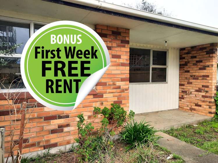 1/3 Albert Street Otahuhu_0