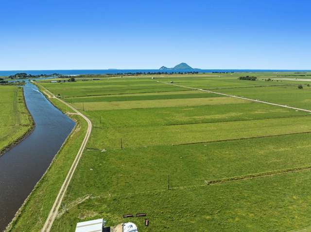 672 Thornton Road and 96A Thornton Hall Road Whakatane_3