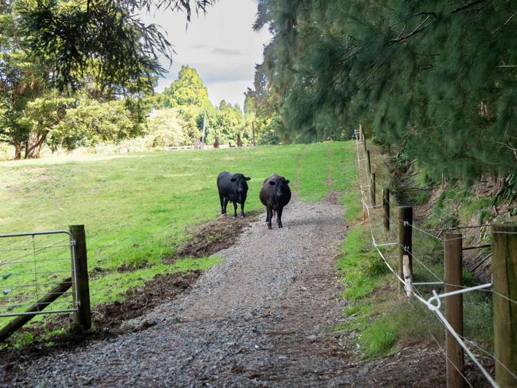 2278 State Highway 10 Waipapa_27