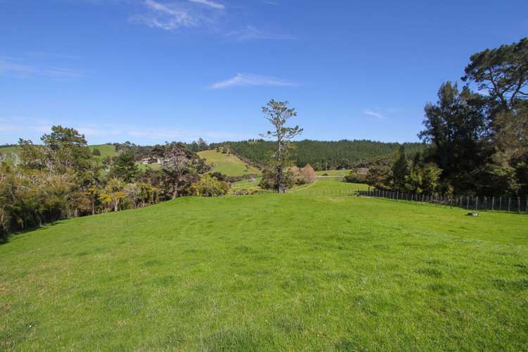 449 Blackbridge Road Dairy Flat_6