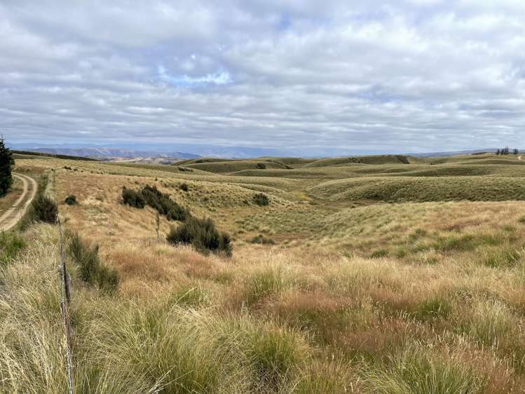 732 Beaumont Highway Clutha_8