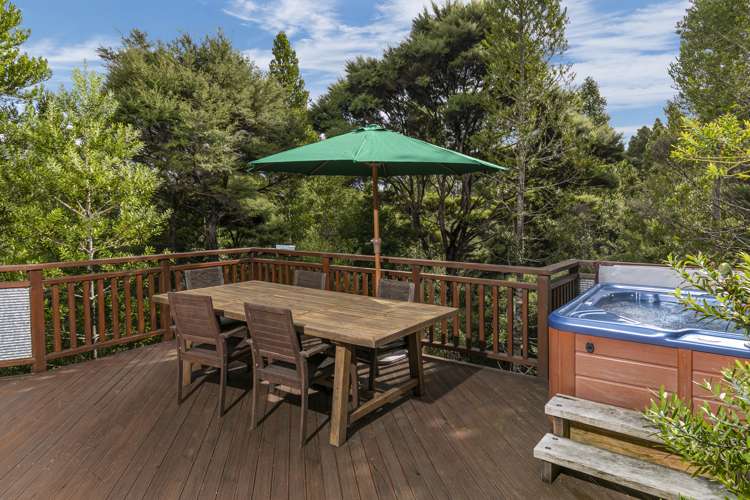 198 Albany Heights Road Albany Heights_18