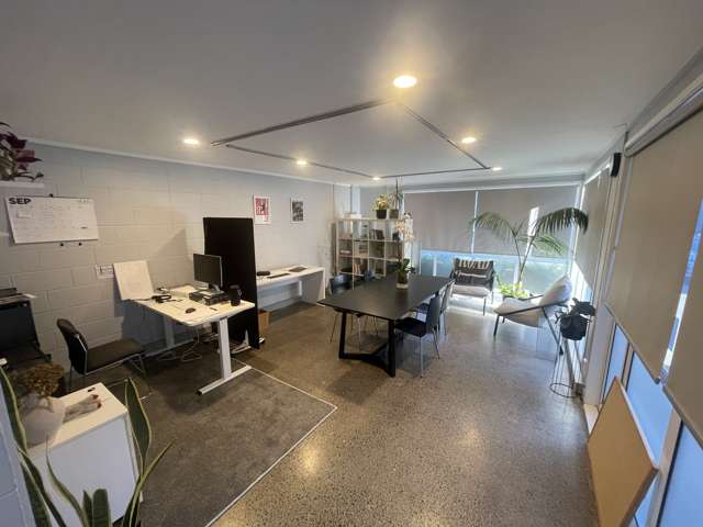 13 Pollen Street Grey Lynn_4