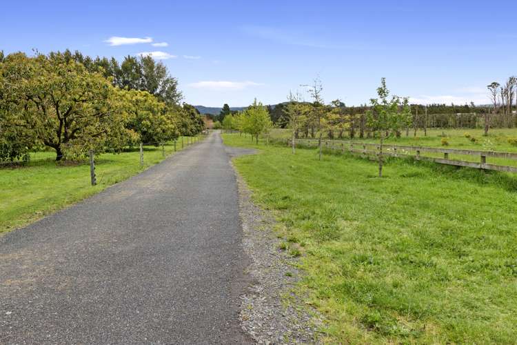 56 Thompsons Track Aongatete_23