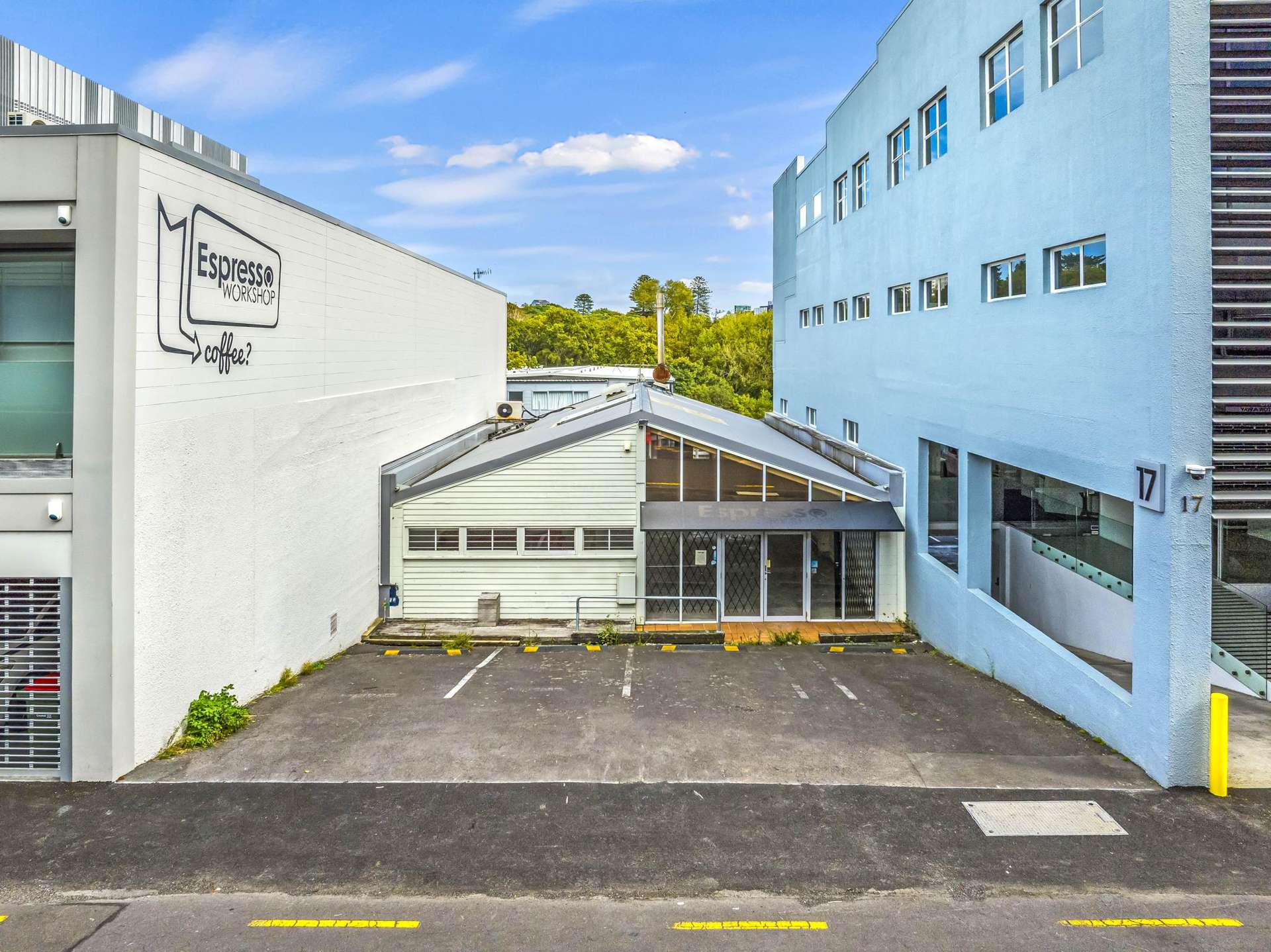 19 Falcon Street Parnell_0