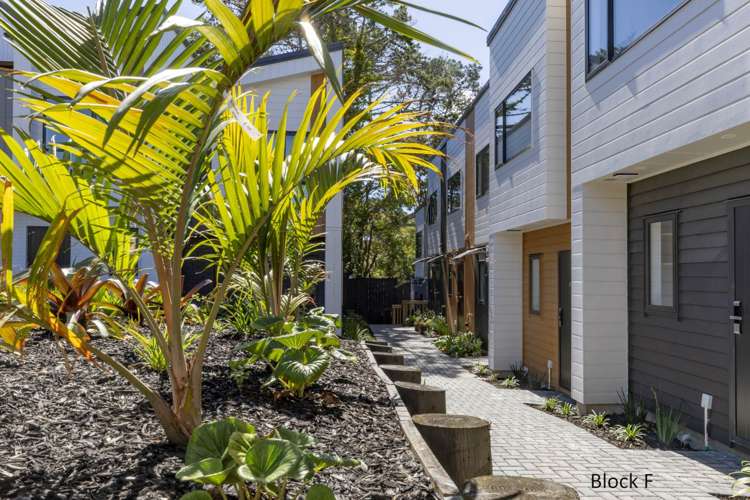 43 Don Oliver Lane Glen Eden_5