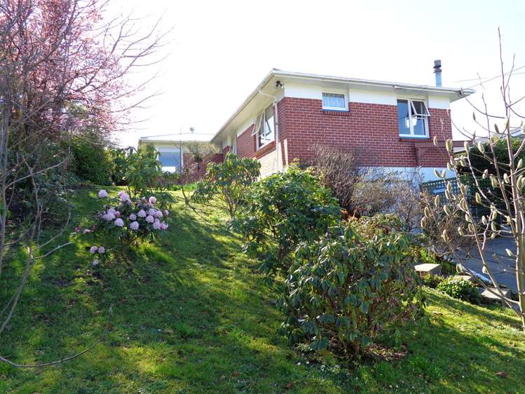 19 Edinburgh Place Balclutha_21