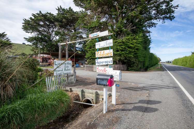 1905 Christchurch Akaroa Road Motukarara_15