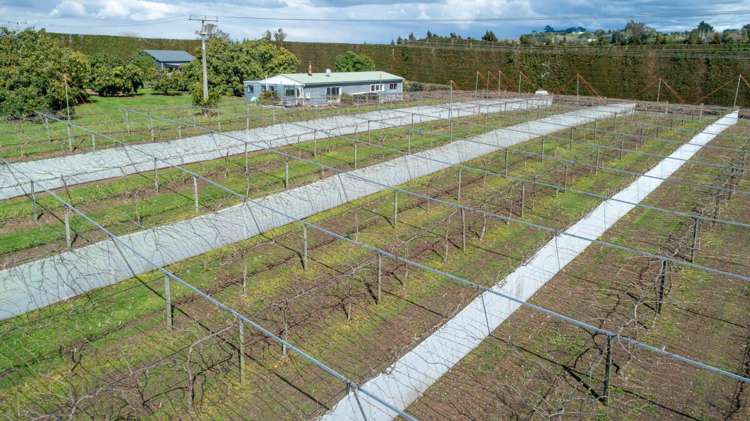 154b Wairoa Road_5