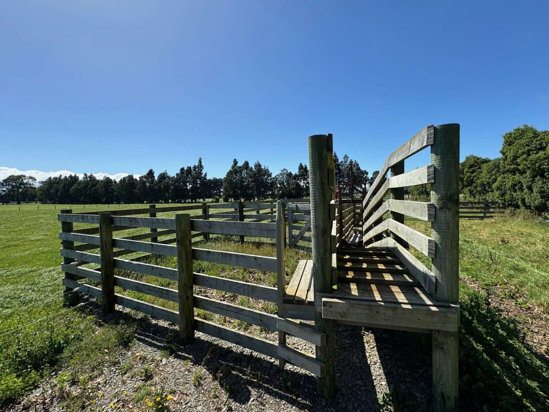 693 Ryal Bush Wallacetown Road Wallacetown Southland Rural