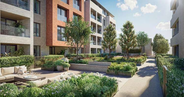 2/113 - 117 Valley Road Mount Eden_13