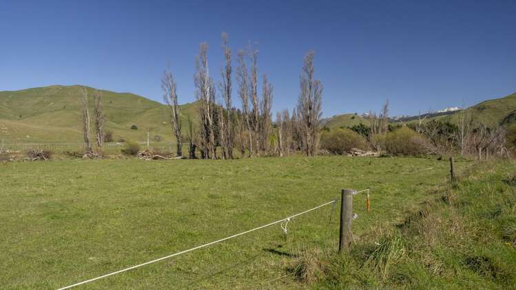Lot 1 Mikimiki Road Masterton_15