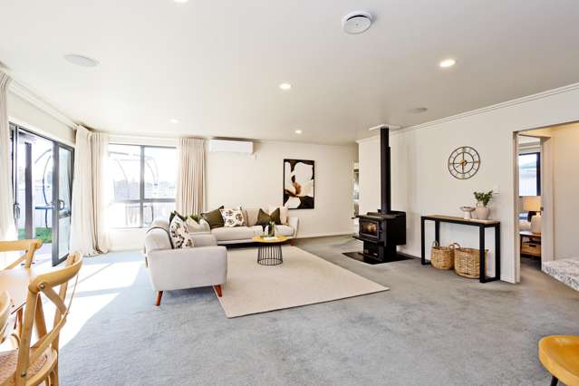 46 Hoffman Court Waikiwi_2