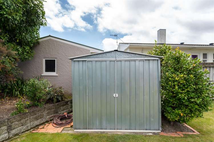 212 Nayland Road Stoke_4